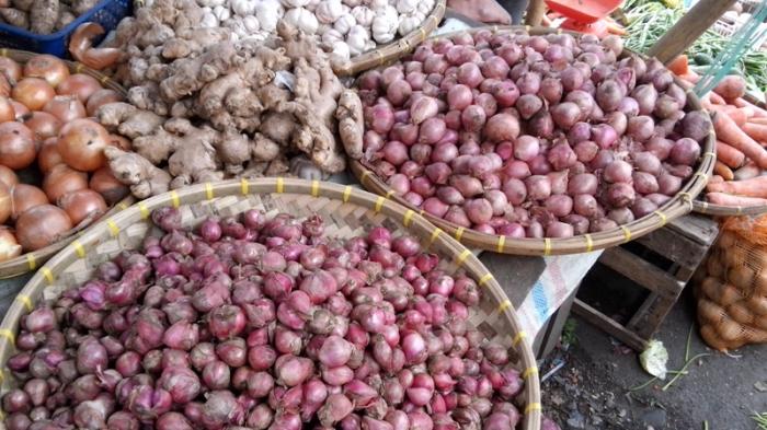 Harga Bawang Merah di Sumut Sangat Menurun Drastis