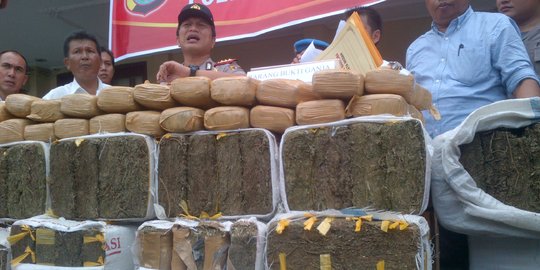 Pengiriman Besar 4 Karung 130 kg Ganja Dari Aceh Di Gagalkan